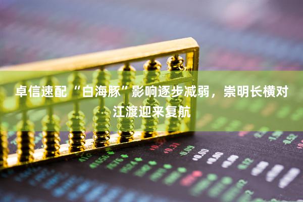 卓信速配 “白海豚”影响逐步减弱，崇明长横对江渡迎来复航