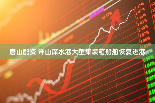 唐山配资 洋山深水港大型集装箱船舶恢复进港